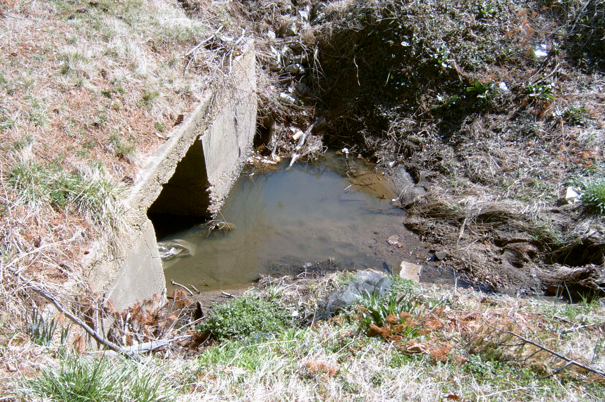 Field photo showing stream conditions at site BALT-116-R-2004-93