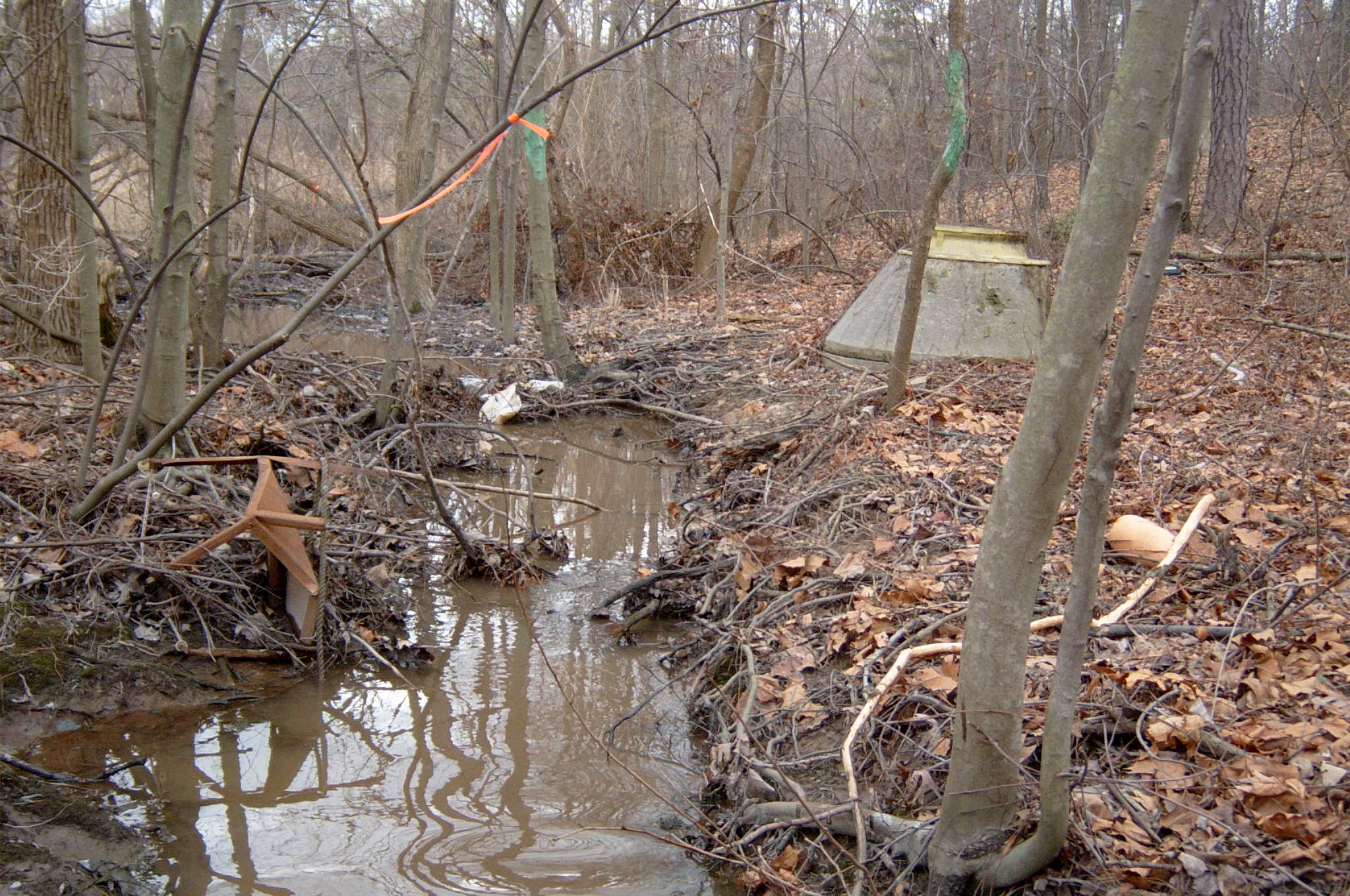 Field photo showing stream conditions at site BALT-117-R-2004-79