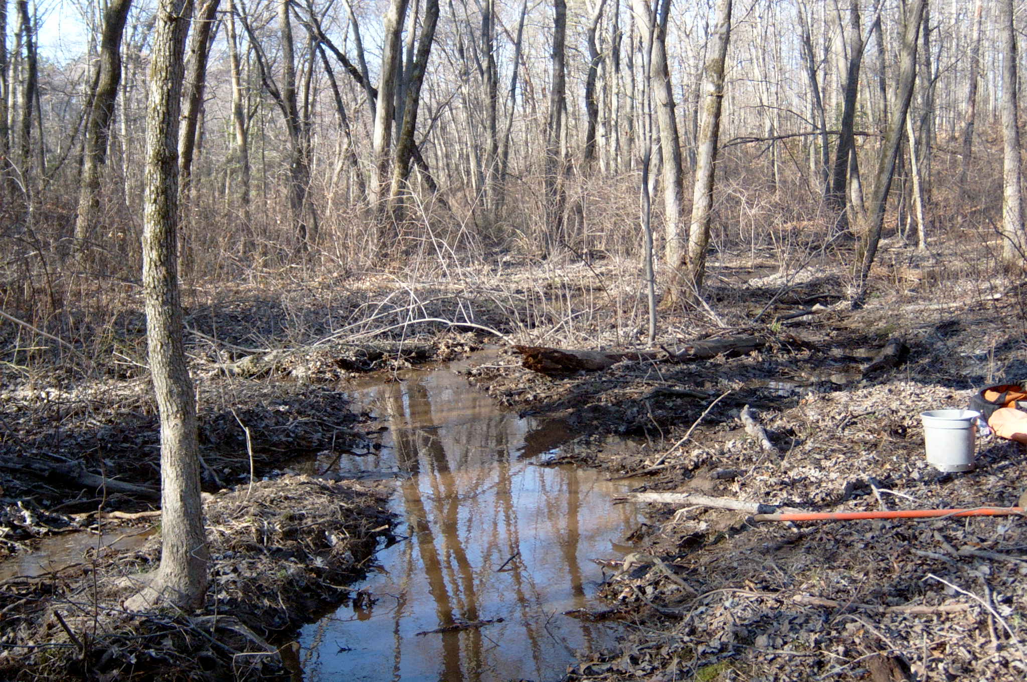 Field photo showing stream conditions at site BALT-118-R-2004-94