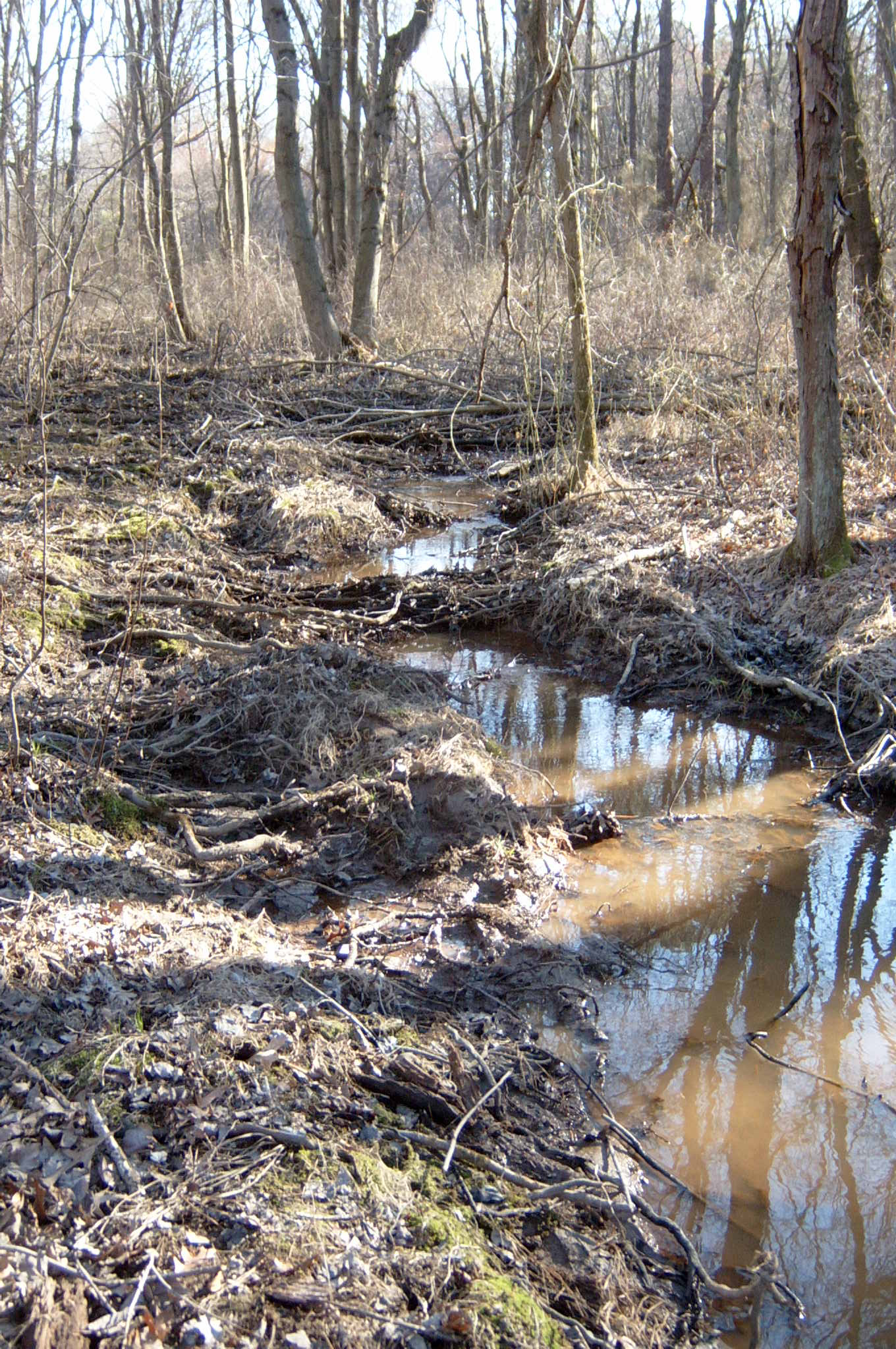 Field photo showing stream conditions at site BALT-118-R-2004-95