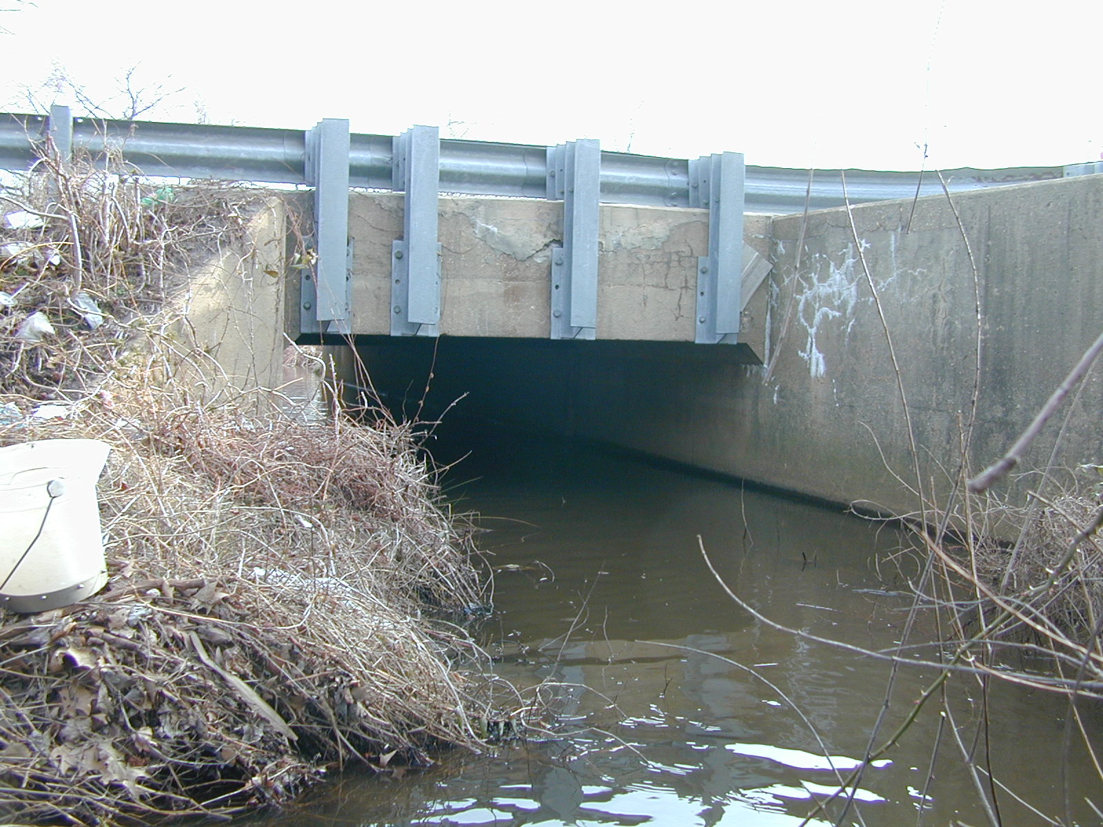 Field photo showing stream conditions at site BALT-202-R-2001-1