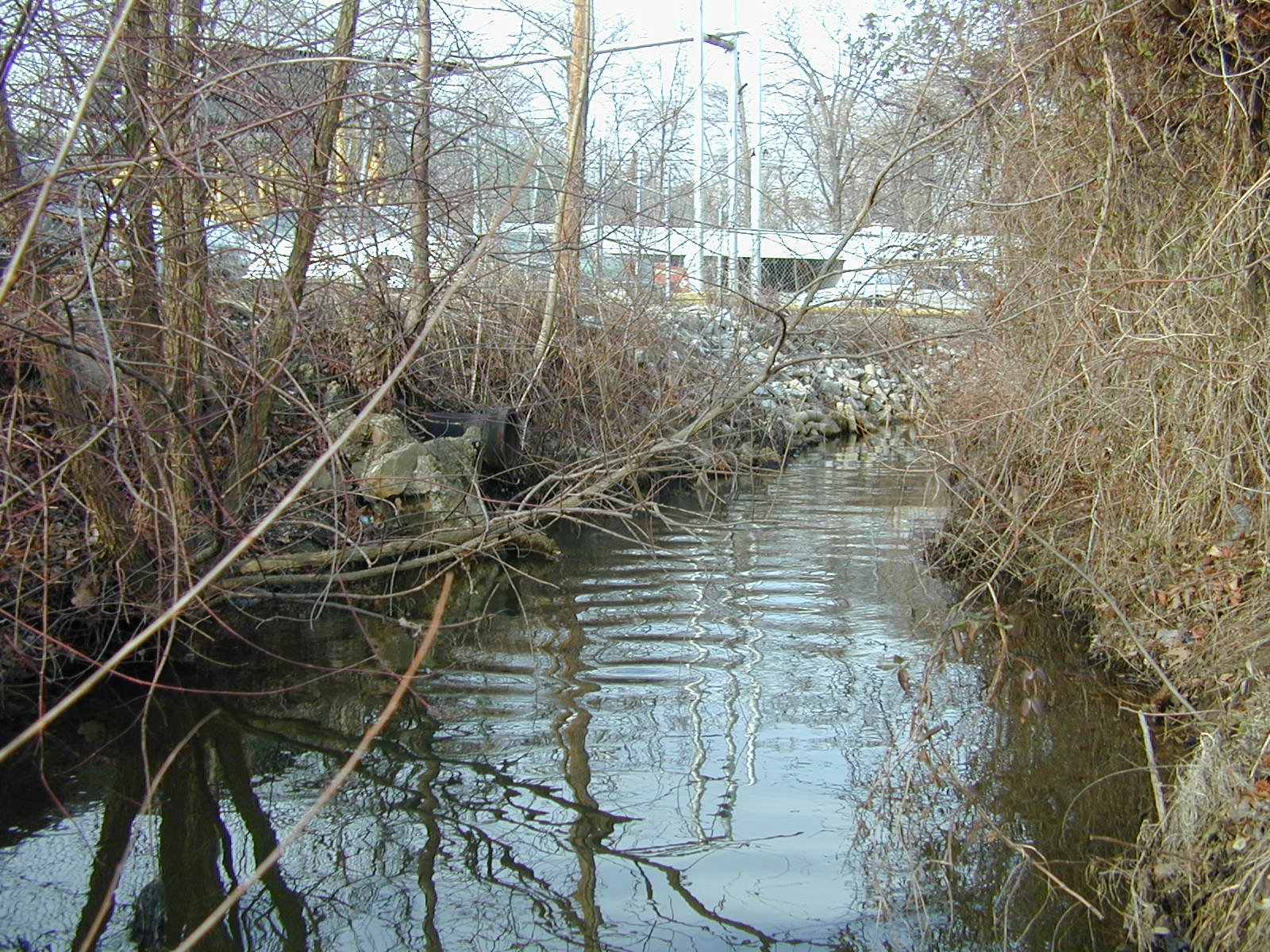 Field photo showing stream conditions at site BALT-202-R-2001-2