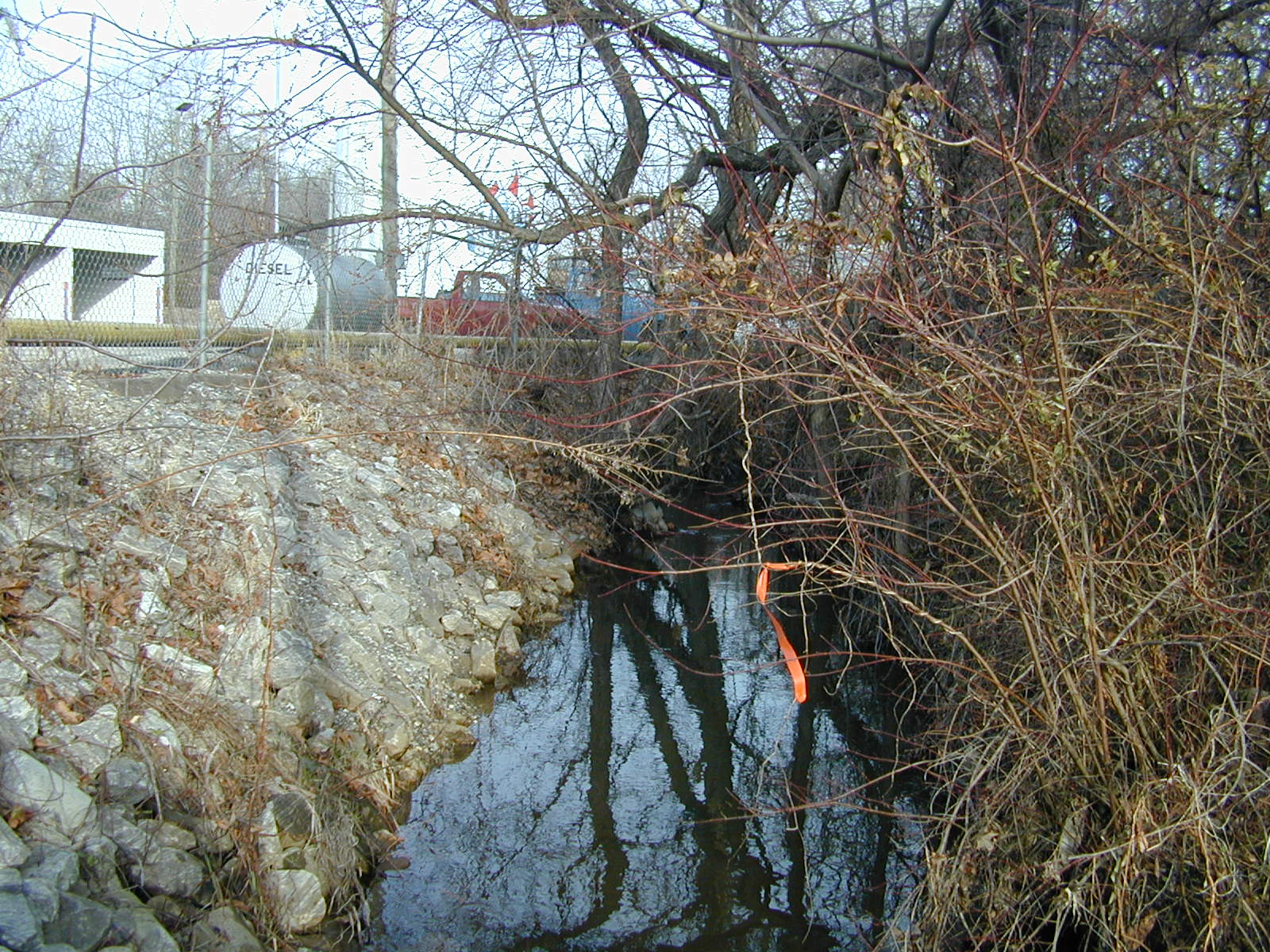 Field photo showing stream conditions at site BALT-202-R-2001-3