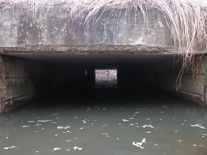 Field photo showing stream conditions at site BALT-204-R-2009-1