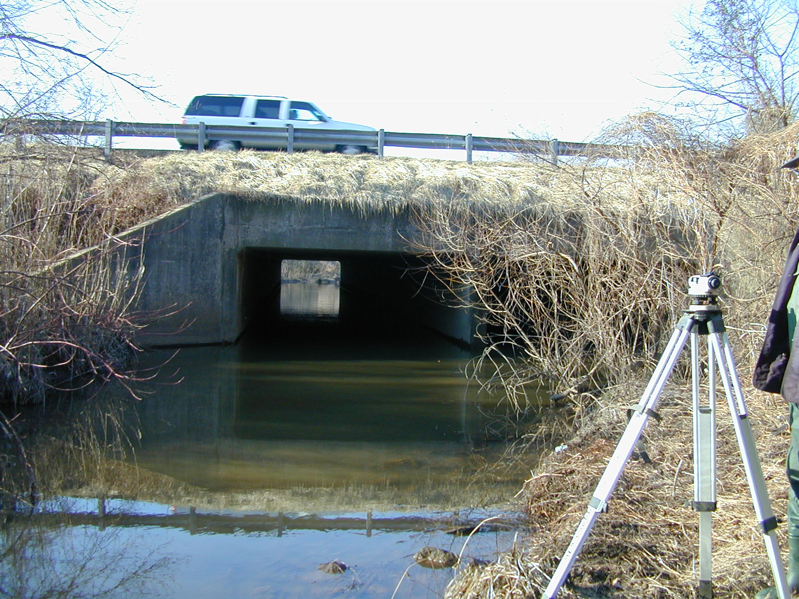 Field photo showing stream conditions at site BALT-207-R-2001-1