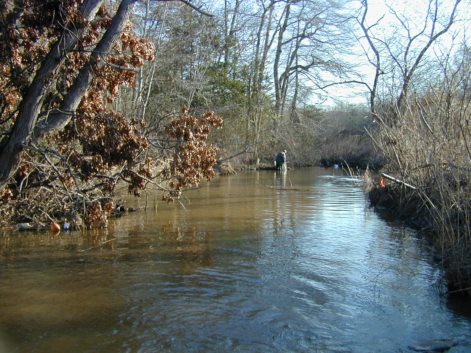 Field photo showing stream conditions at site BALT-207-R-2001-2