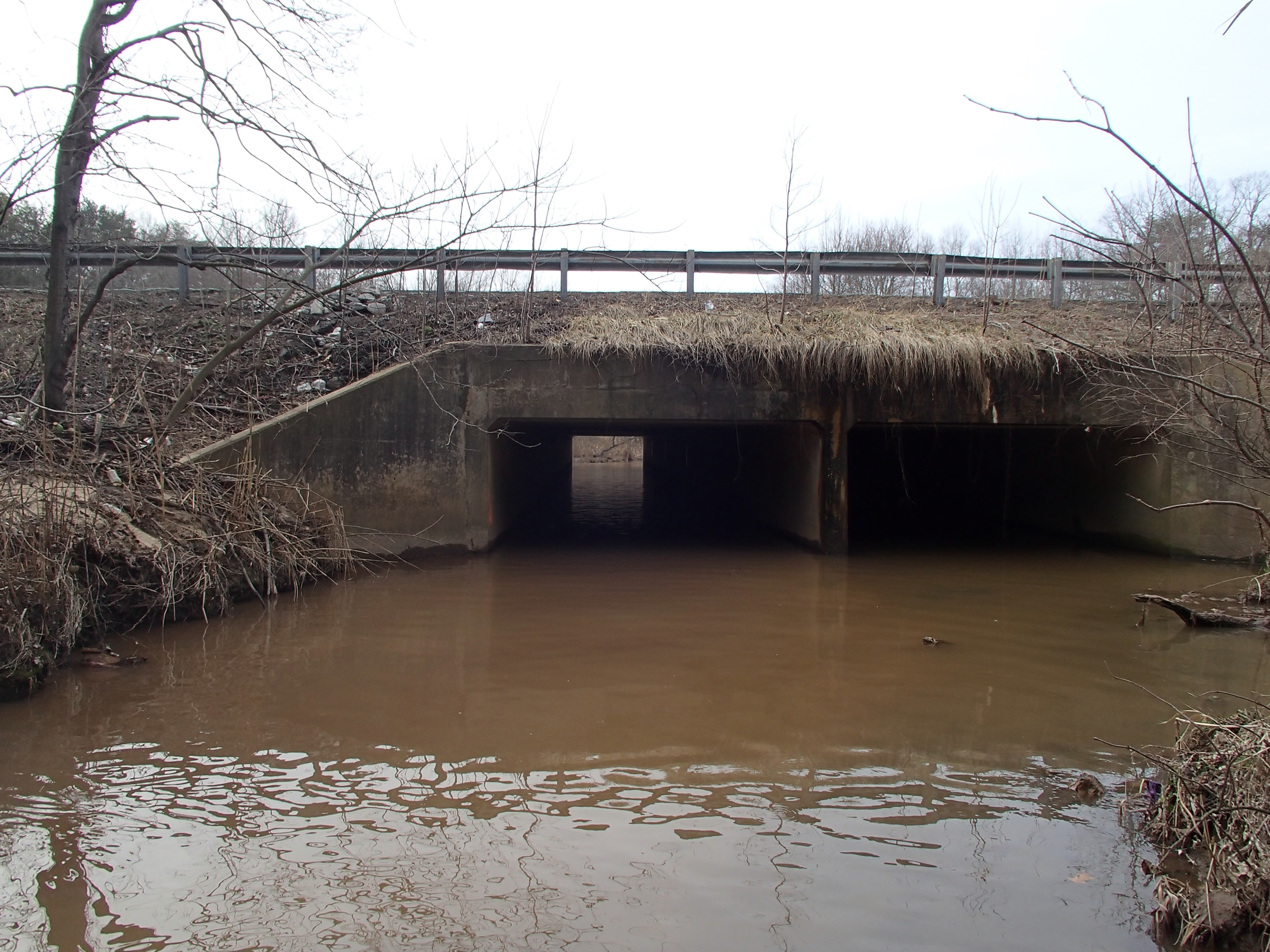 Field photo showing stream conditions at site BALT-207-R-2015_Midpoint-looking-upstream