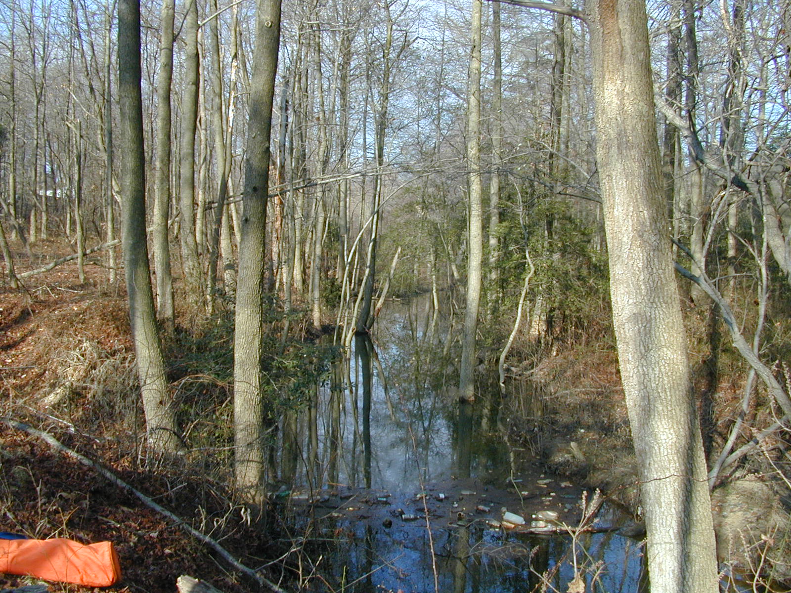 Field photo showing stream conditions at site BALT-214-R-2001-1