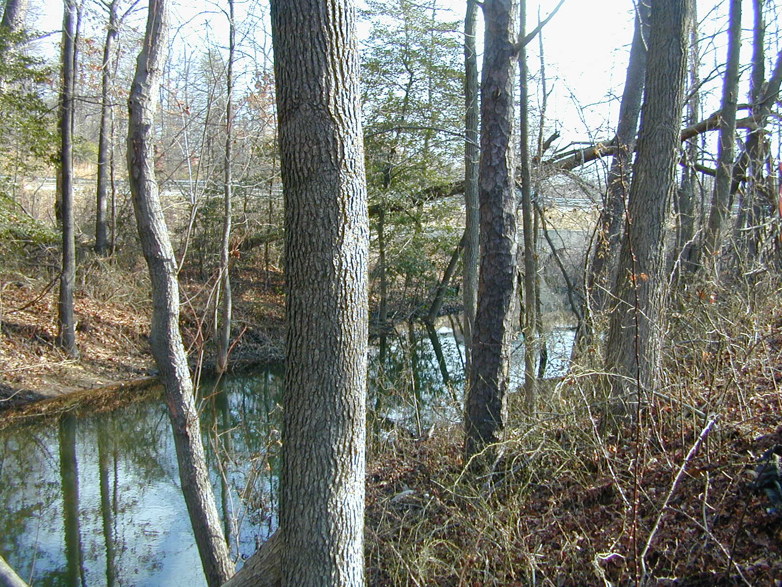 Field photo showing stream conditions at site BALT-214-R-2001-2