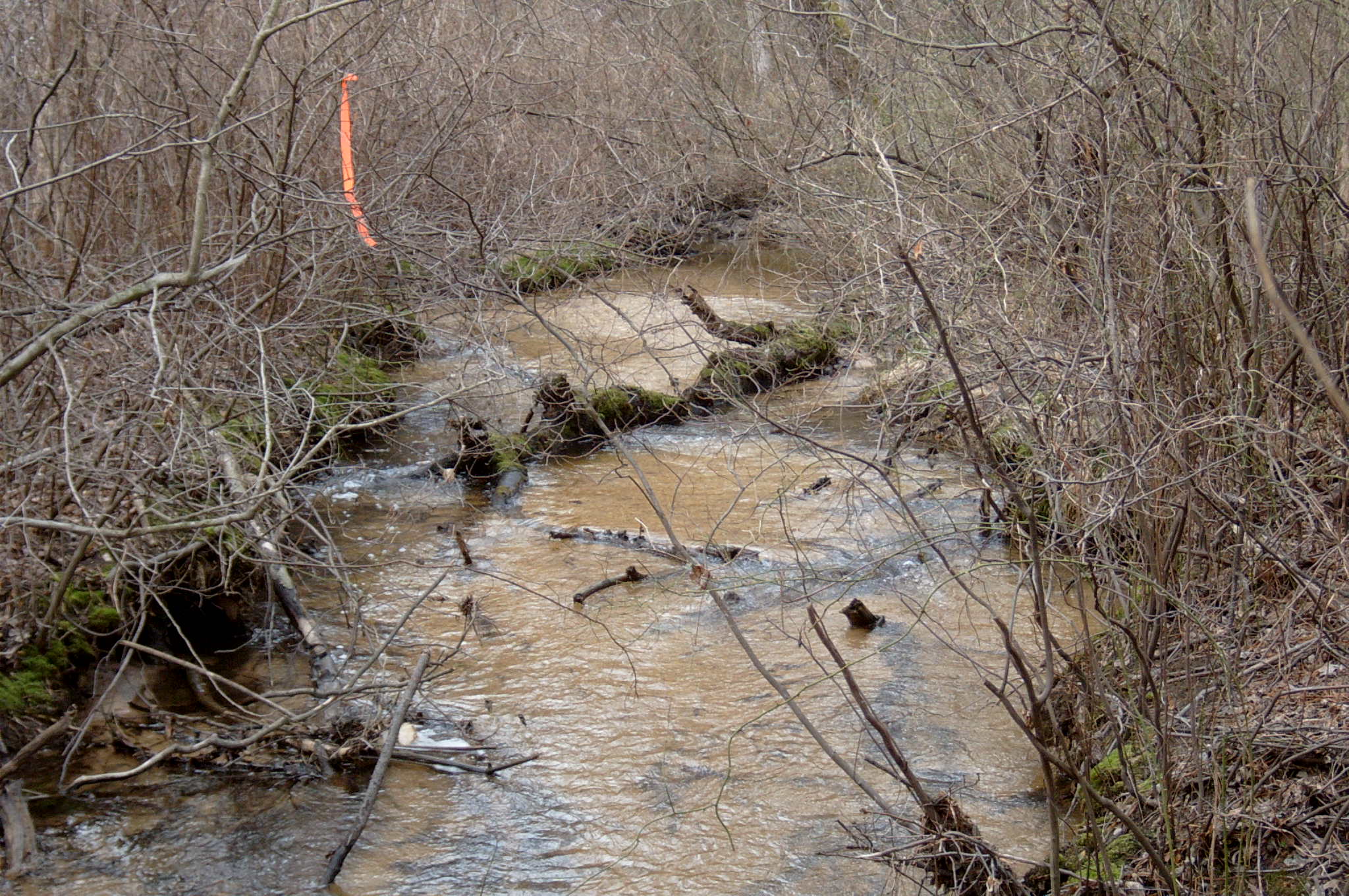 Field photo showing stream conditions at site BALT-214-R-2004-82