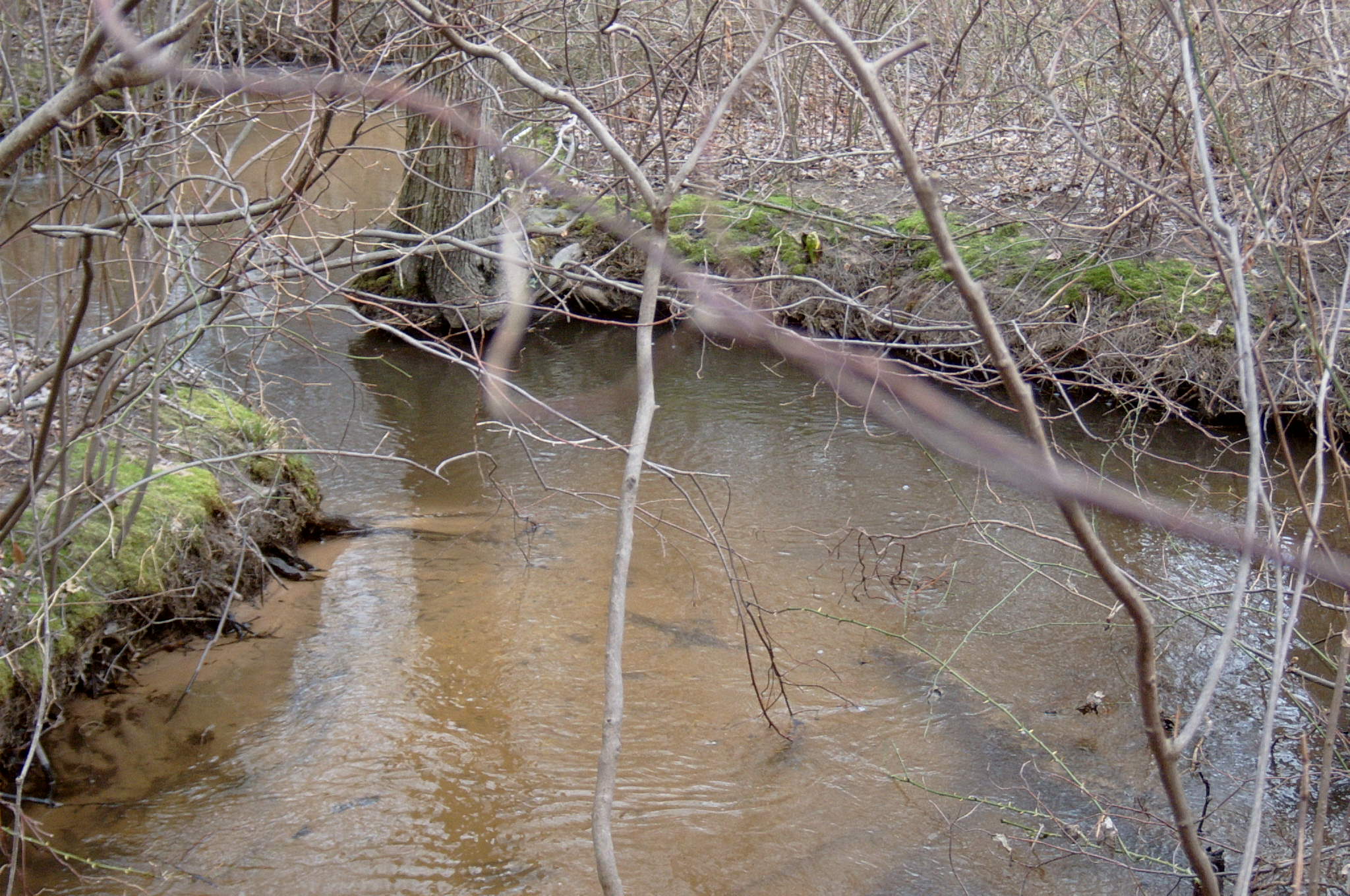 Field photo showing stream conditions at site BALT-214-R-2004-83