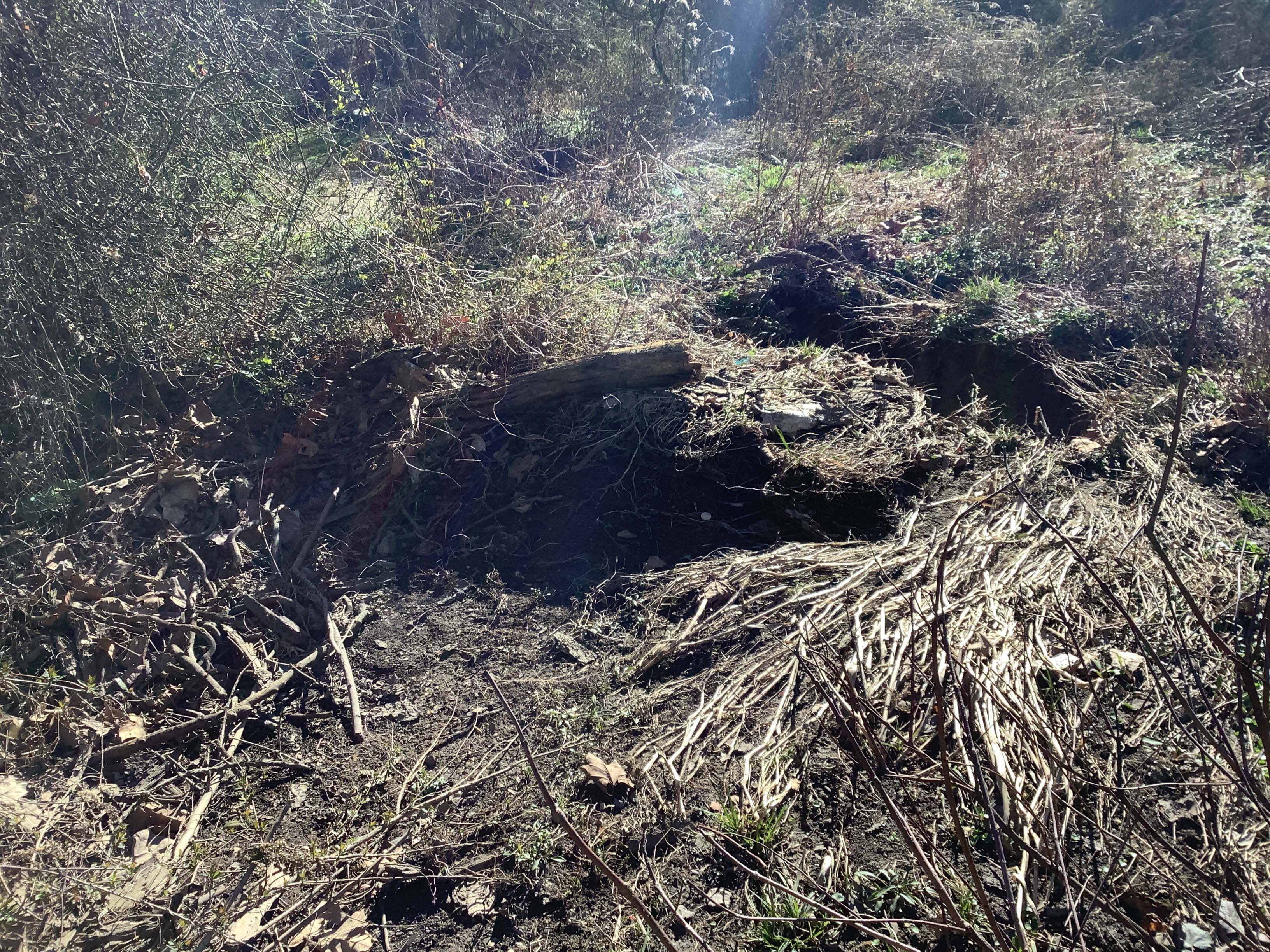 Field photo showing stream conditions at site BALT-223-R-2023-MidpointLookingDownstream