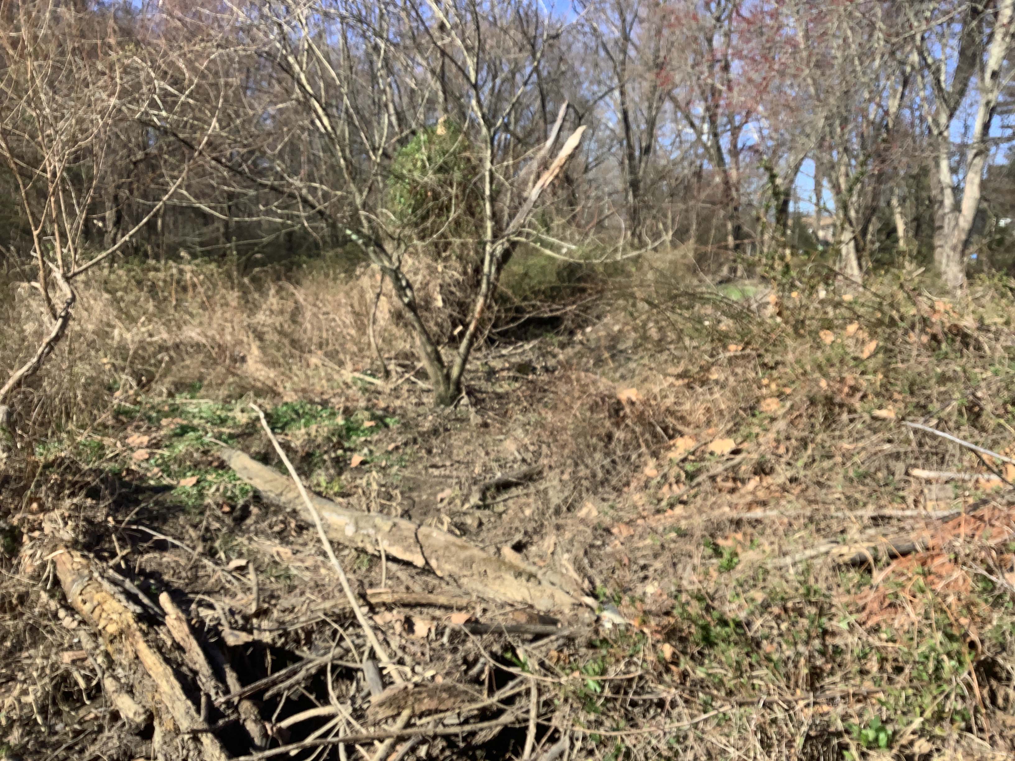 Field photo showing stream conditions at site BALT-223-R-2023-MidpointLookingUpstream