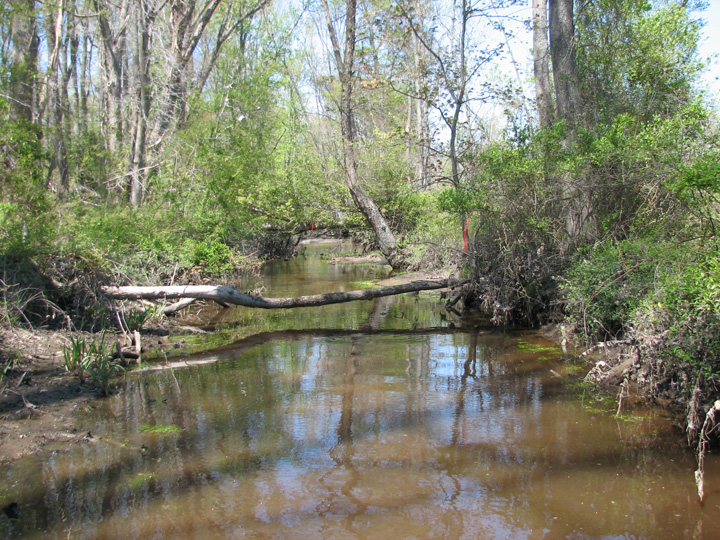 Field photo showing stream conditions at site BANN-103-R-2007-1