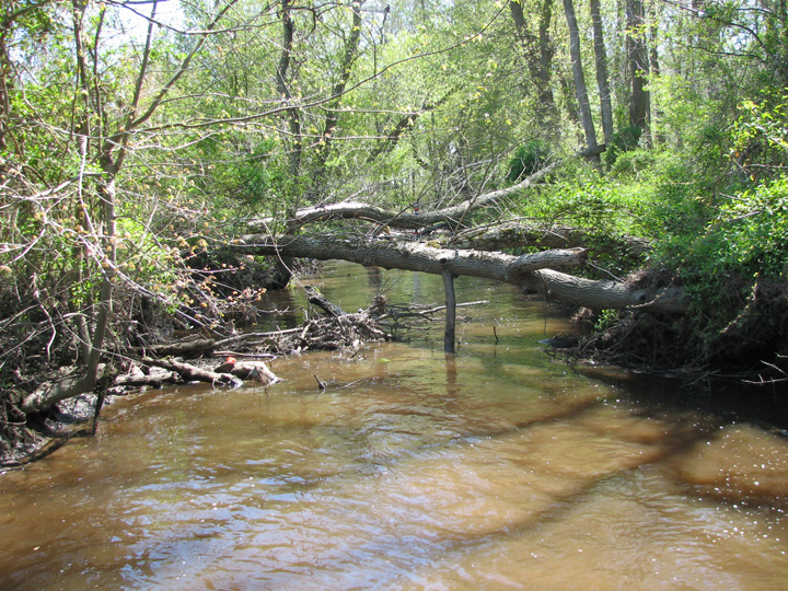 Field photo showing stream conditions at site BANN-103-R-2007-2