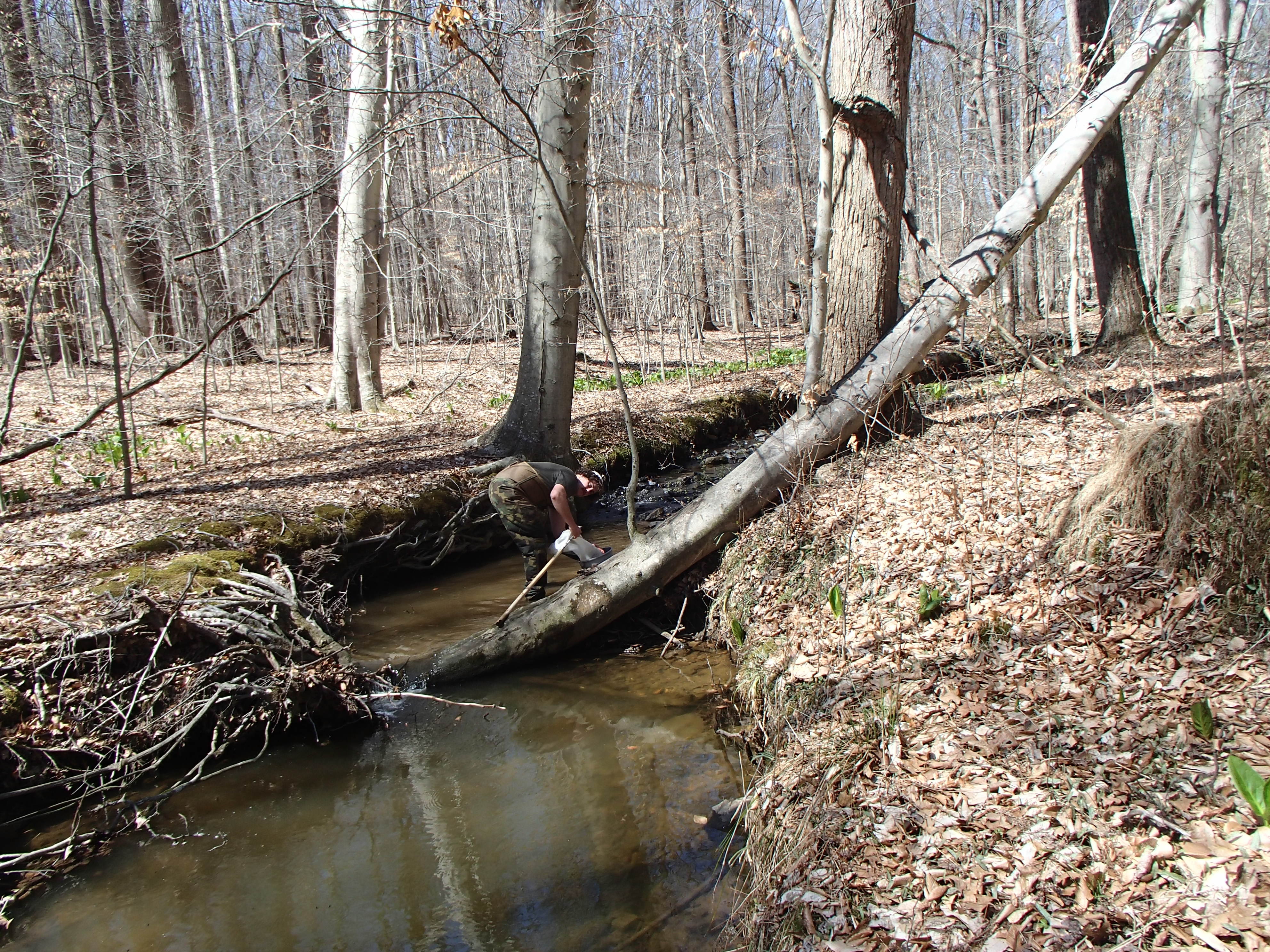 Field photo showing stream conditions at site BELK-110-R-2017-MidpointFacingUpstream