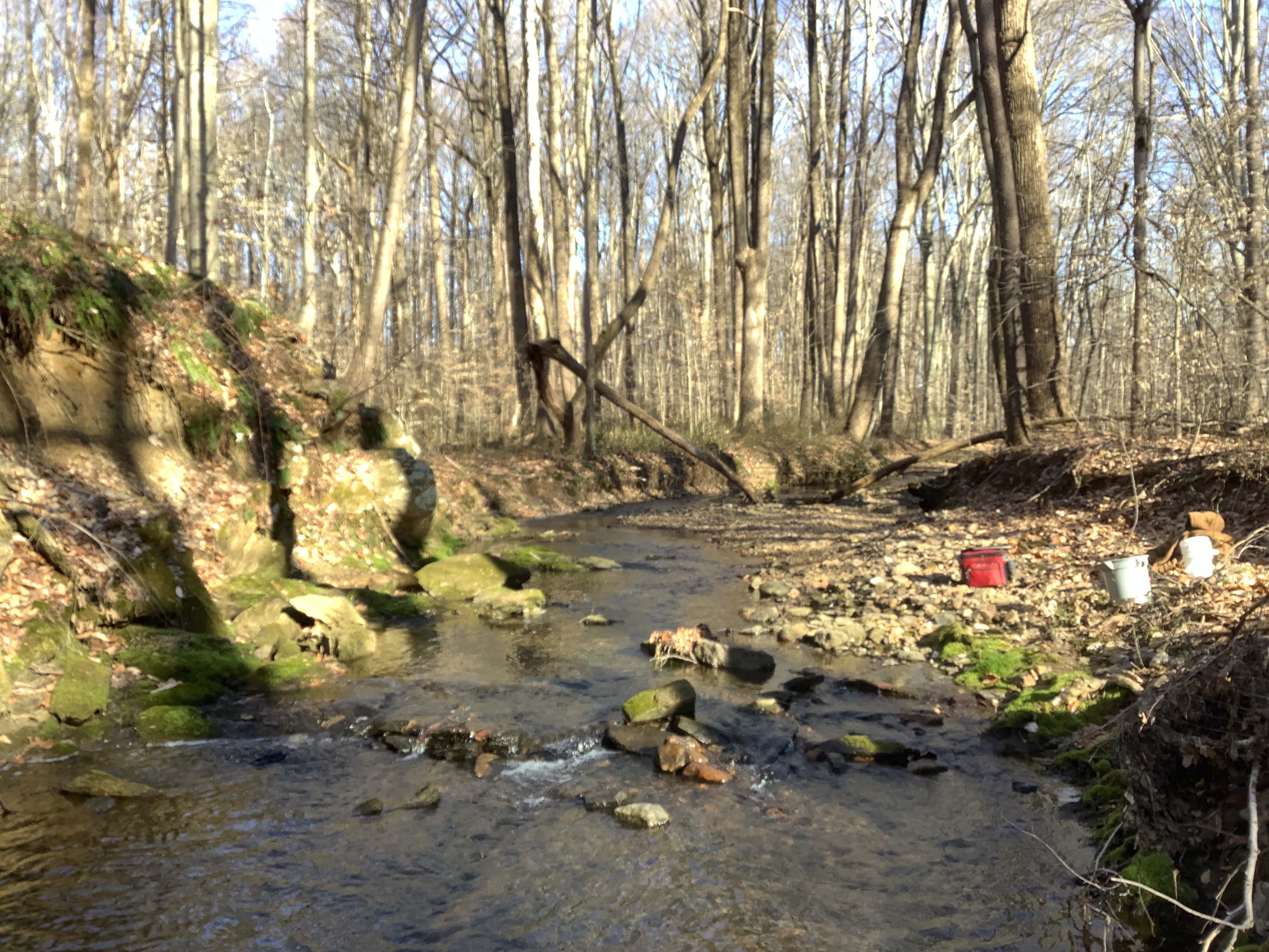 Field photo showing stream conditions at site BELK-221-R-2023-MidpointLookingUpstream