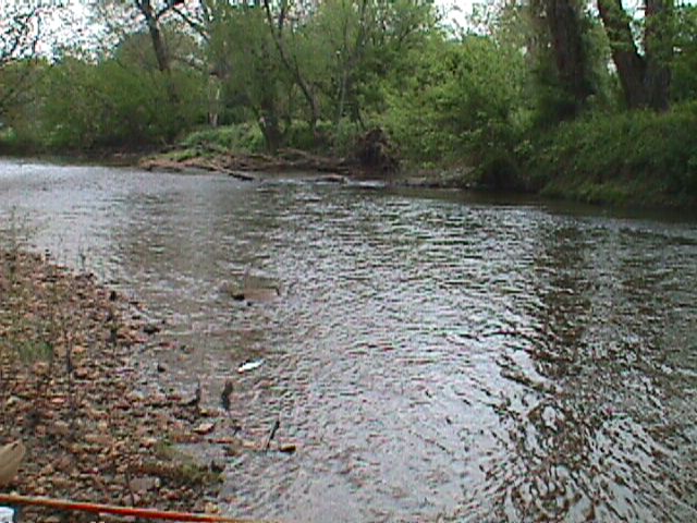 Field photo showing stream conditions at site BELK-301-X-2000-15_17