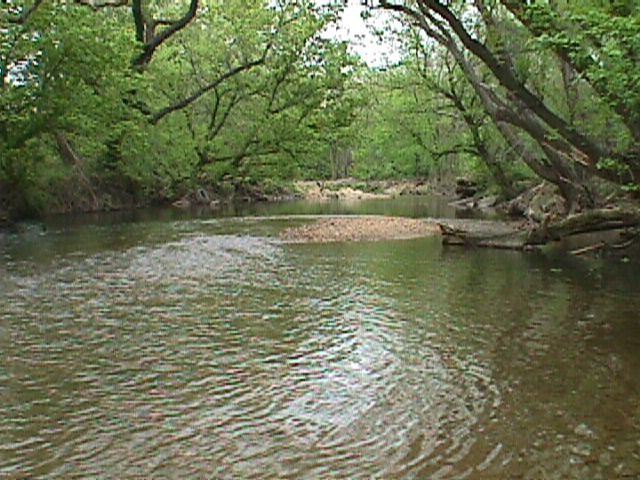 Field photo showing stream conditions at site BELK-301-X-2000-15_19