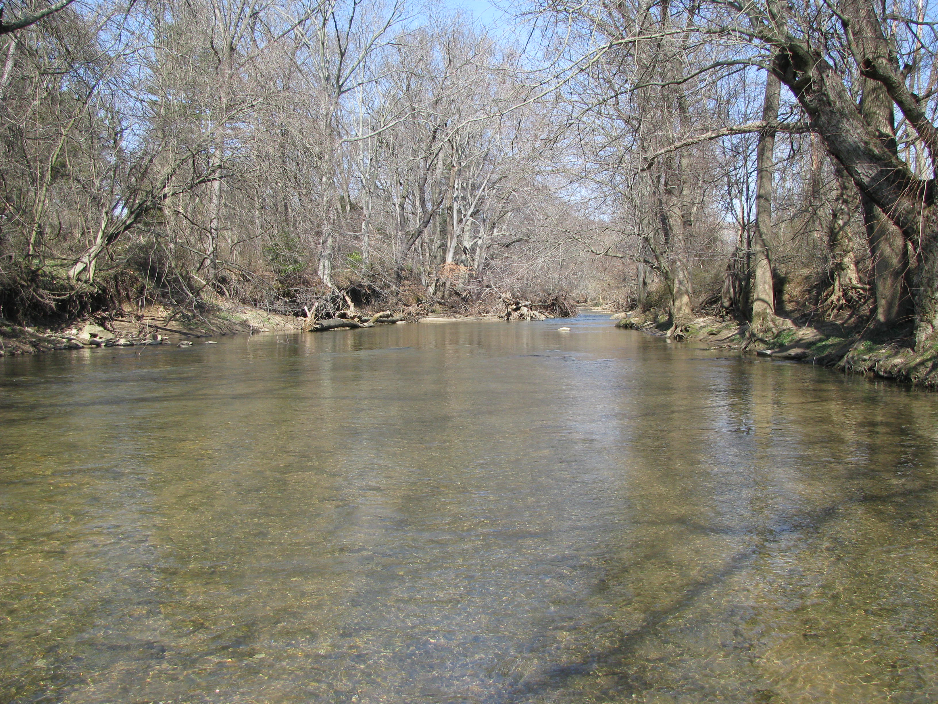 Field photo showing stream conditions at site BELK-302-A-2012-1