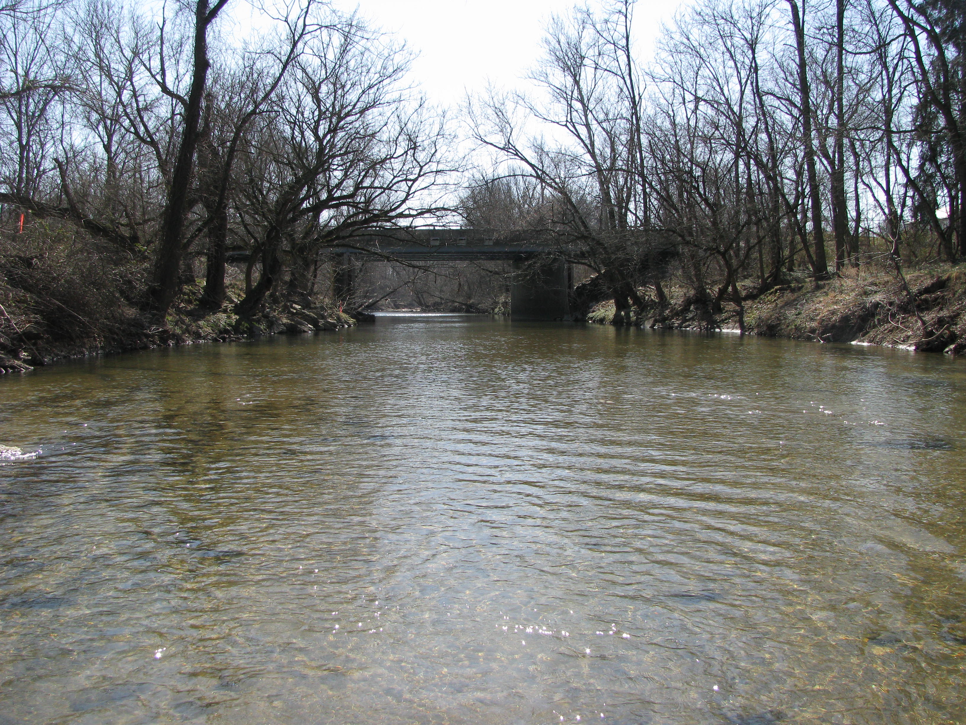 Field photo showing stream conditions at site BELK-302-A-2012-2