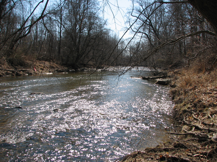 Field photo showing stream conditions at site BELK-306-R-2008-1
