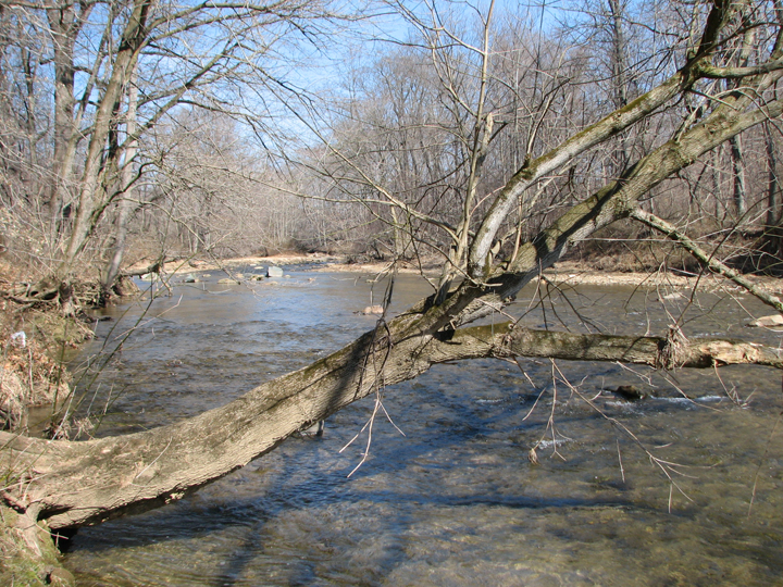 Field photo showing stream conditions at site BELK-306-R-2008-2