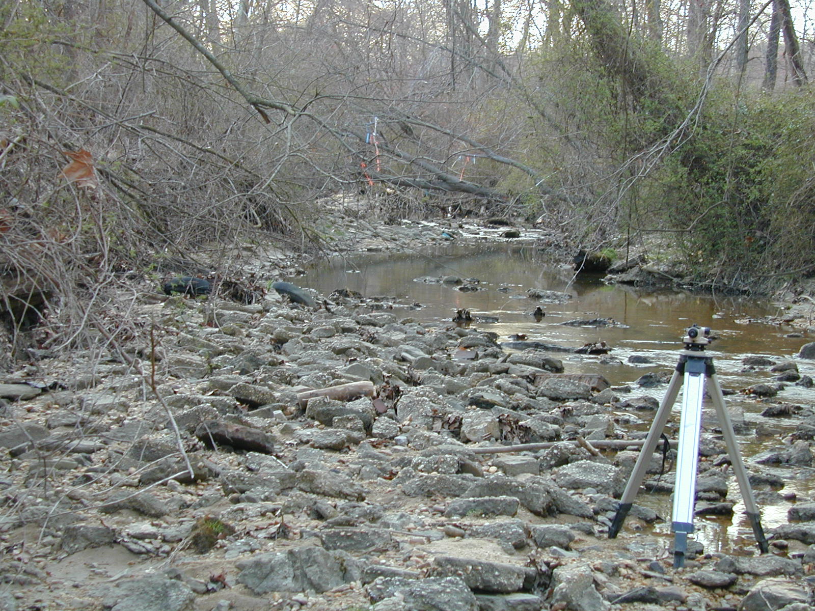 Field photo showing stream conditions at site BIRD-101-R-2002-459