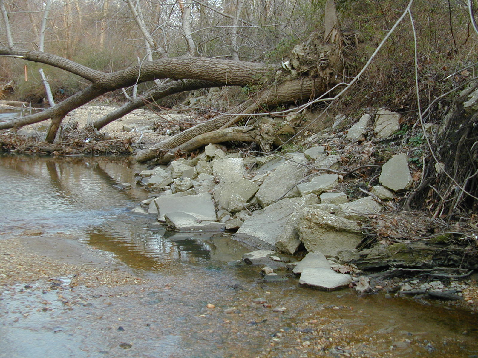 Field photo showing stream conditions at site BIRD-101-R-2002-460