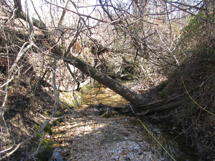 Field photo showing stream conditions at site BIRD-106-B-2009-1