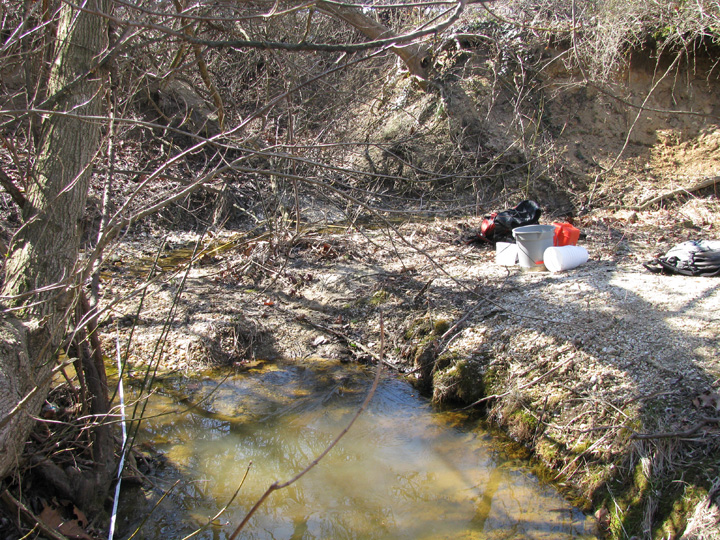 Field photo showing stream conditions at site BIRD-106-B-2009-2
