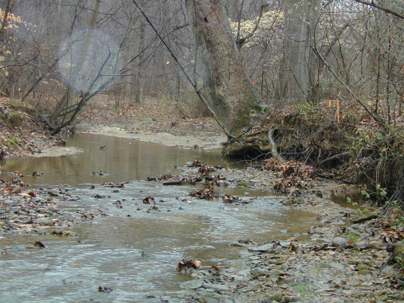 Field photo showing stream conditions at site BIRD-107-R-2002-462