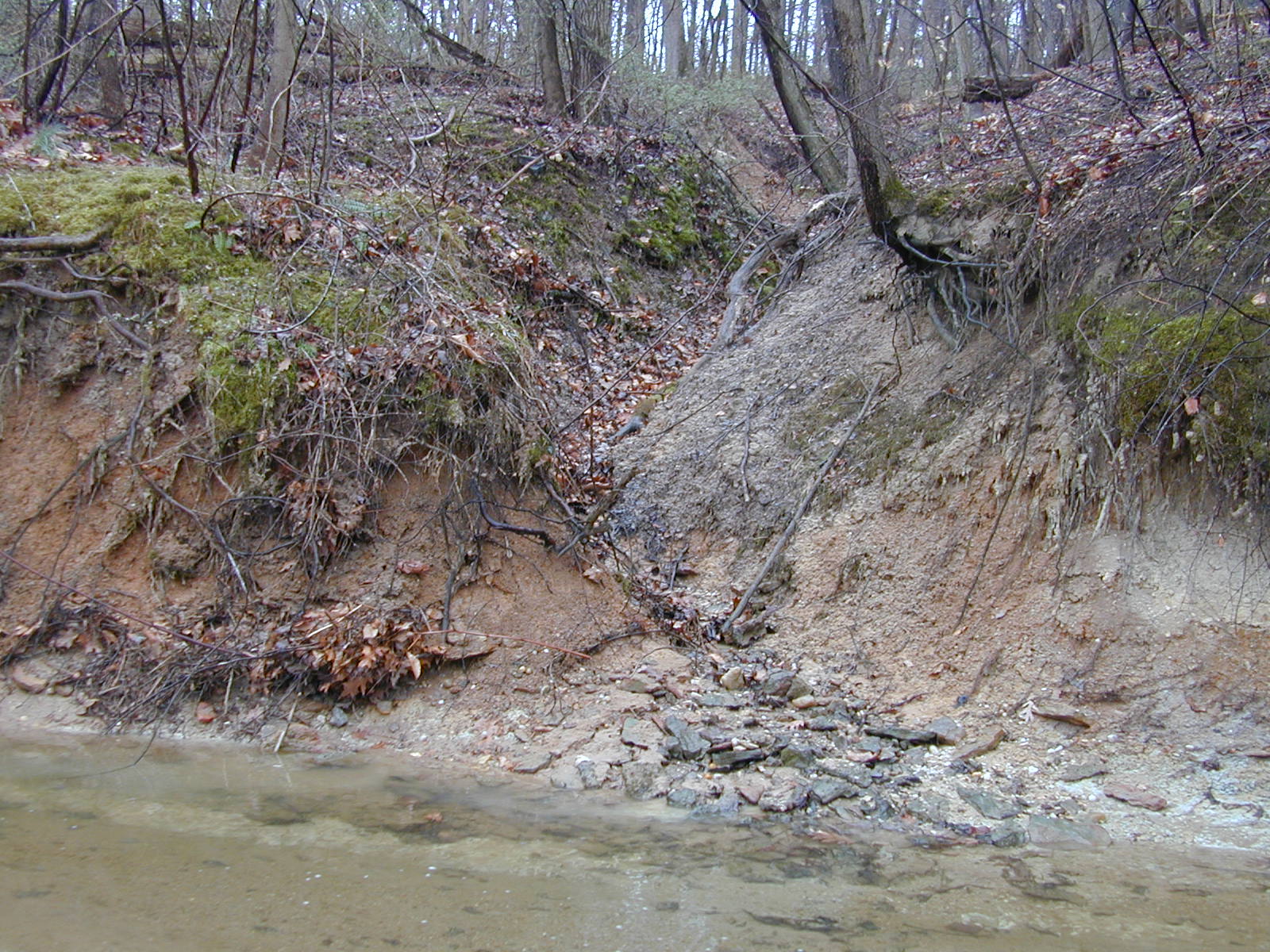 Field photo showing stream conditions at site BIRD-107-R-2002-464