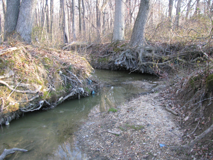 Field photo showing stream conditions at site BIRD-110-B-2009-1