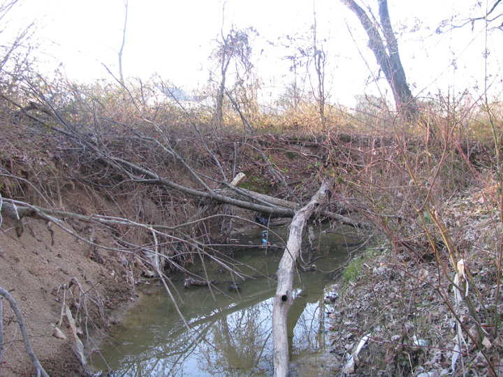 Field photo showing stream conditions at site BIRD-110-B-2009-2