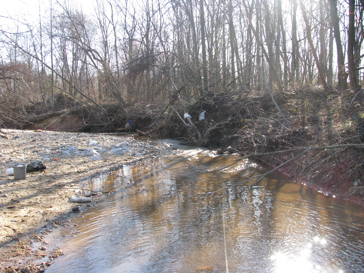Field photo showing stream conditions at site BIRD-203-B-2009-1