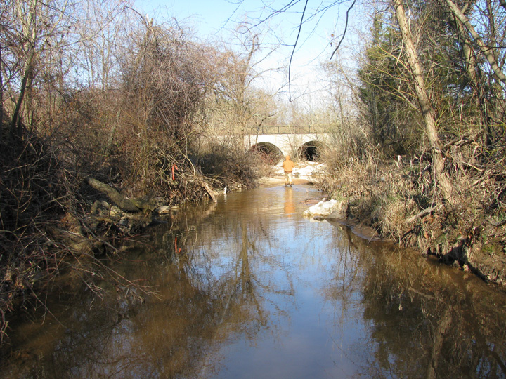 Field photo showing stream conditions at site BIRD-203-B-2009-2