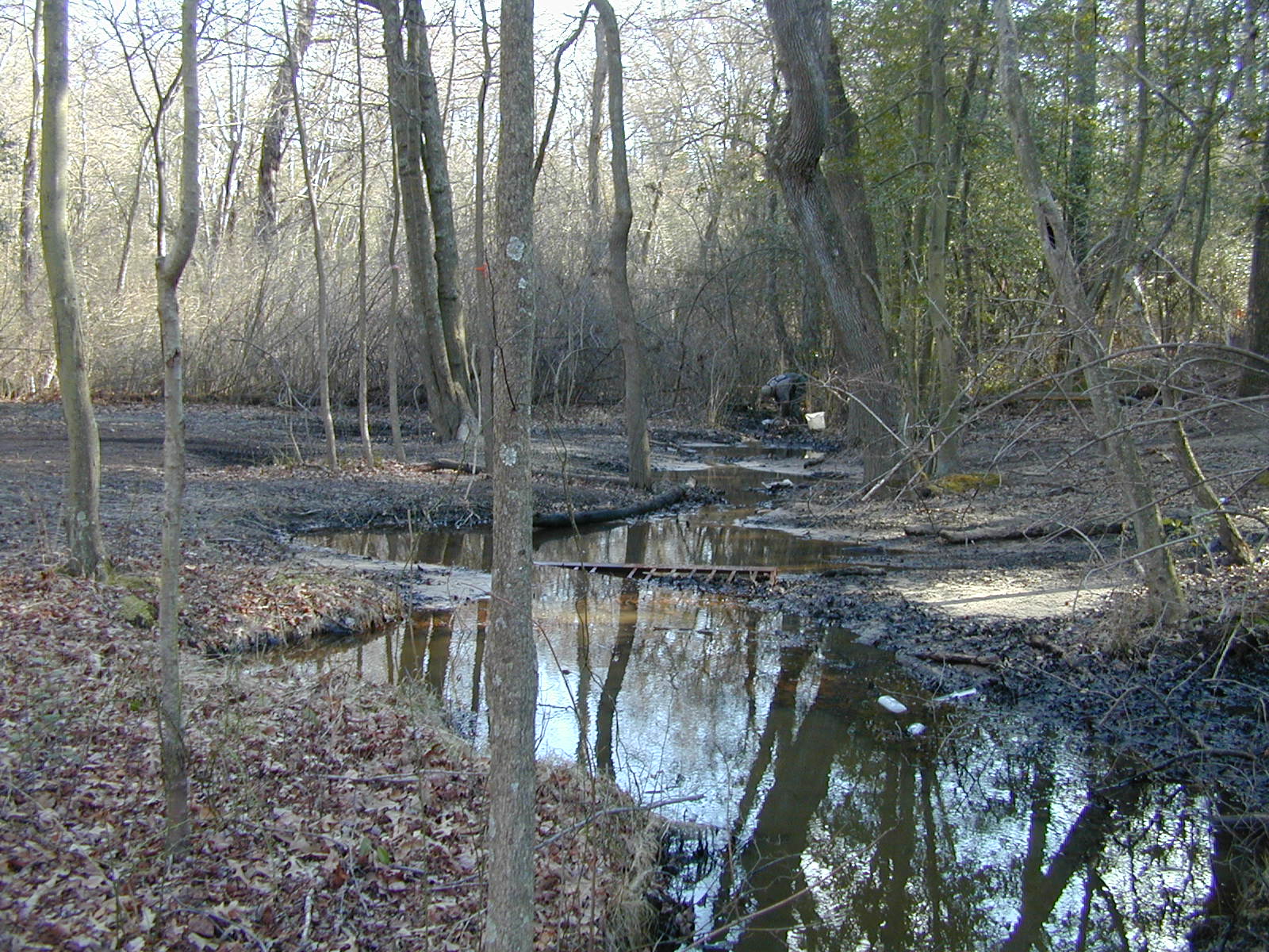 Field photo showing stream conditions at site BODK-101-R-2001-1