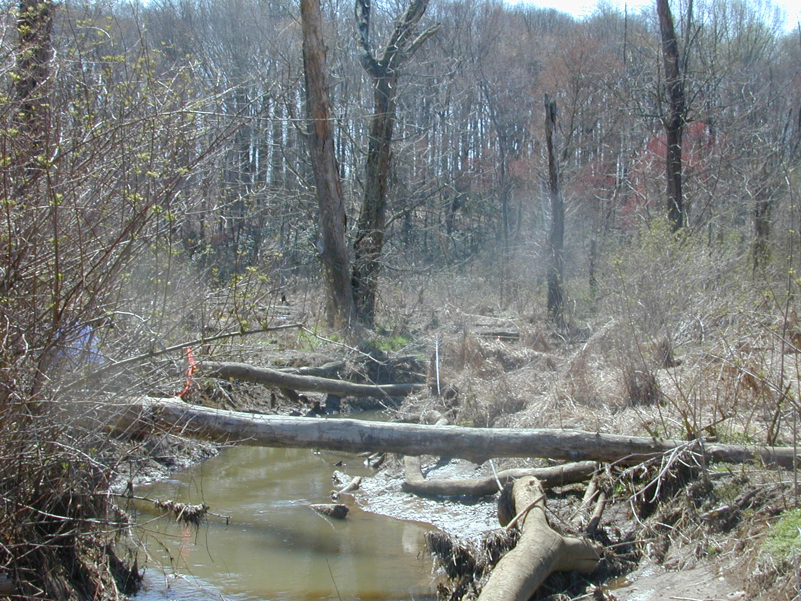 Field photo showing stream conditions at site BOHE-105-R-2003-1002