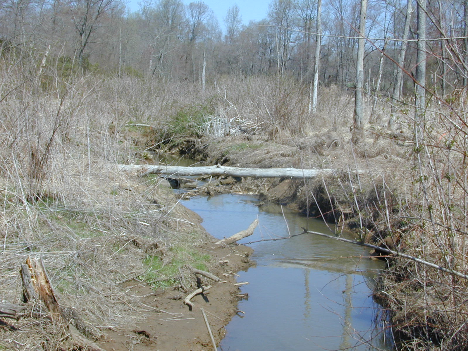 Field photo showing stream conditions at site BOHE-105-R-2003-1003