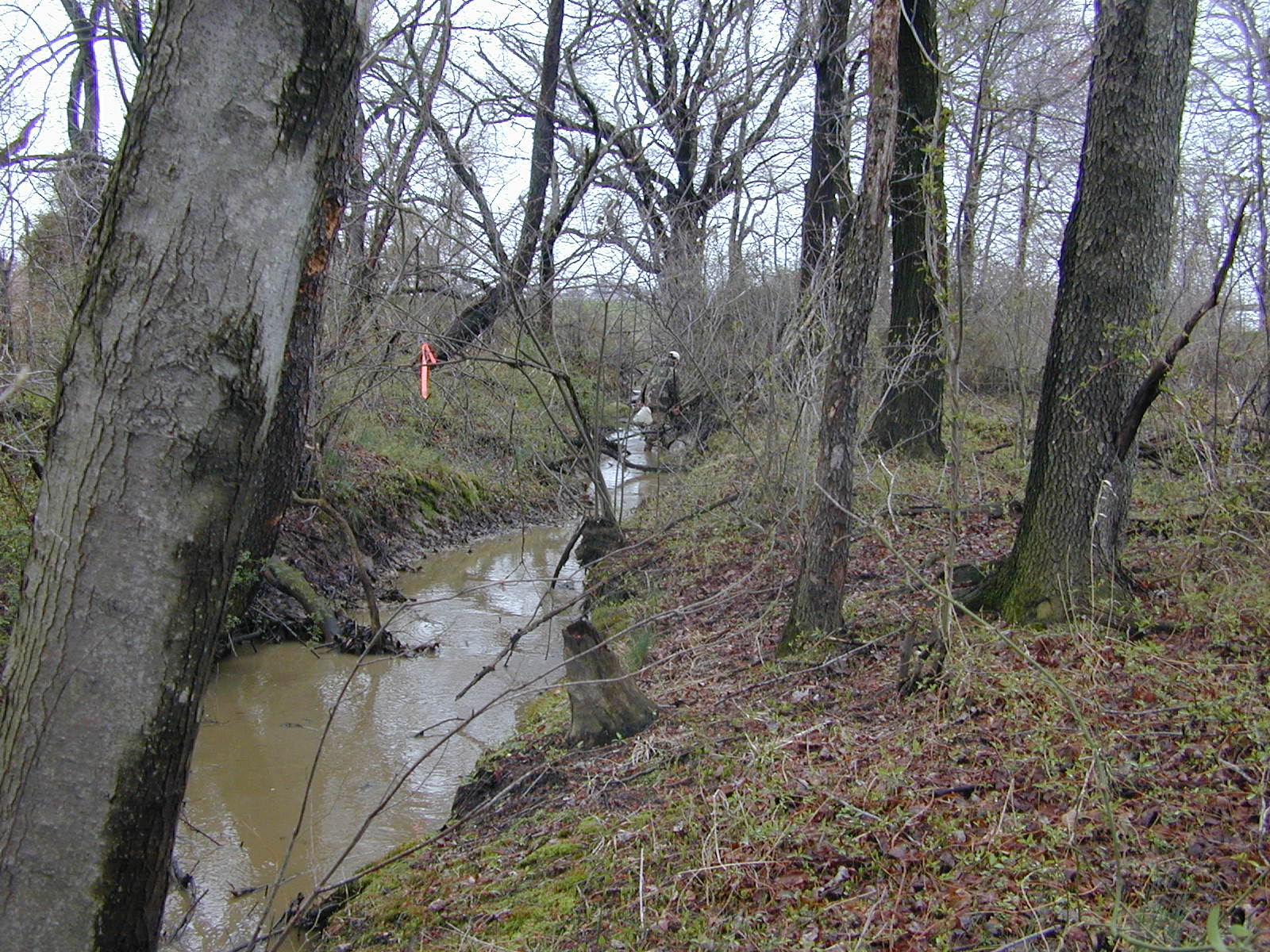 Field photo showing stream conditions at site BOHE-113-R-2003-0984