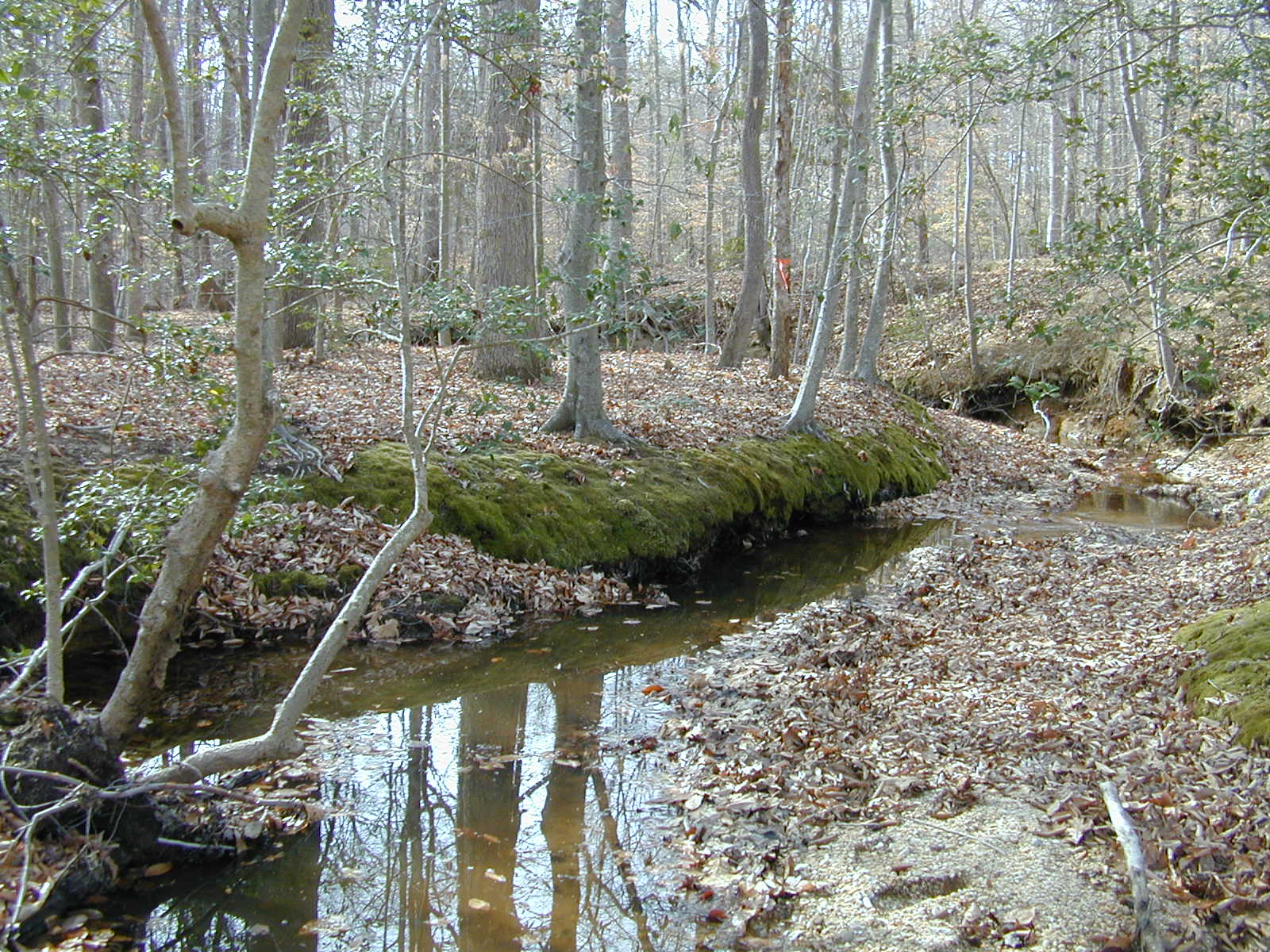 Field photo showing stream conditions at site BRET-101-R-2002-384