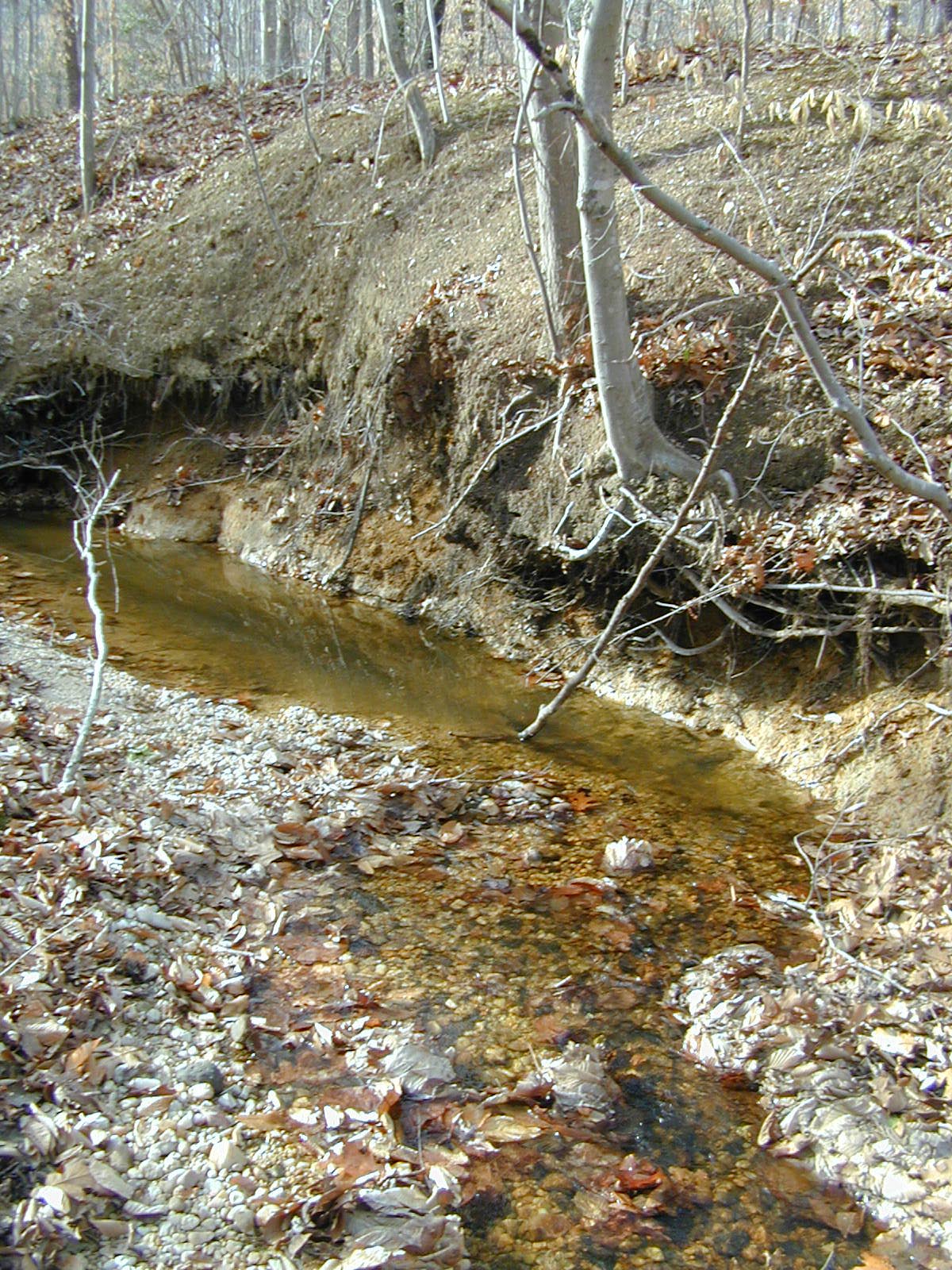 Field photo showing stream conditions at site BRET-101-R-2002-385