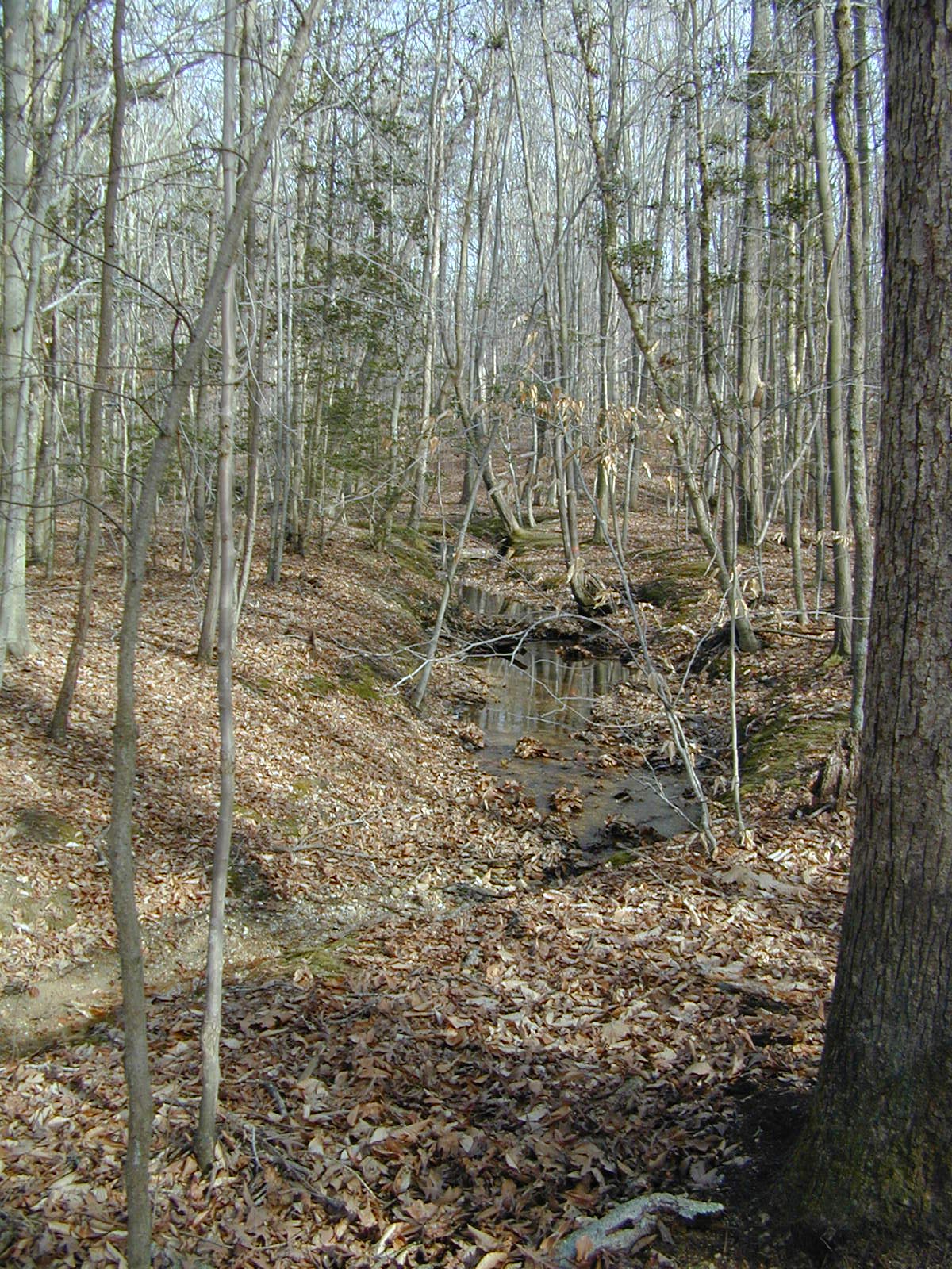 Field photo showing stream conditions at site BRET-101-R-2002-386