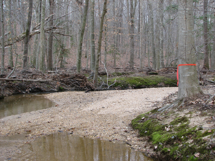 Field photo showing stream conditions at site BRET-101-R-2007-1