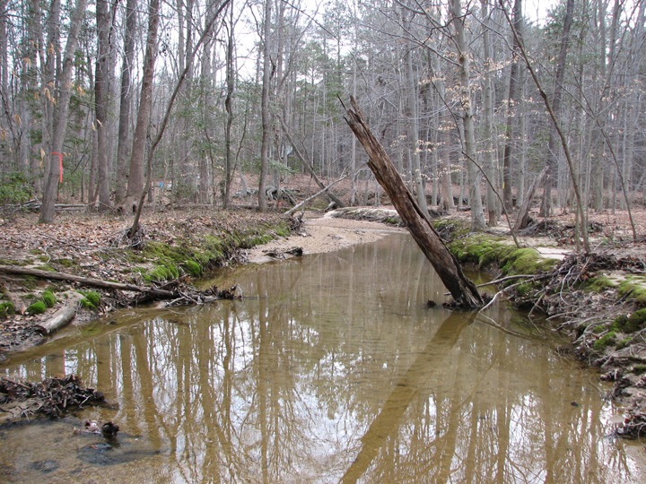 Field photo showing stream conditions at site BRET-101-R-2007-2
