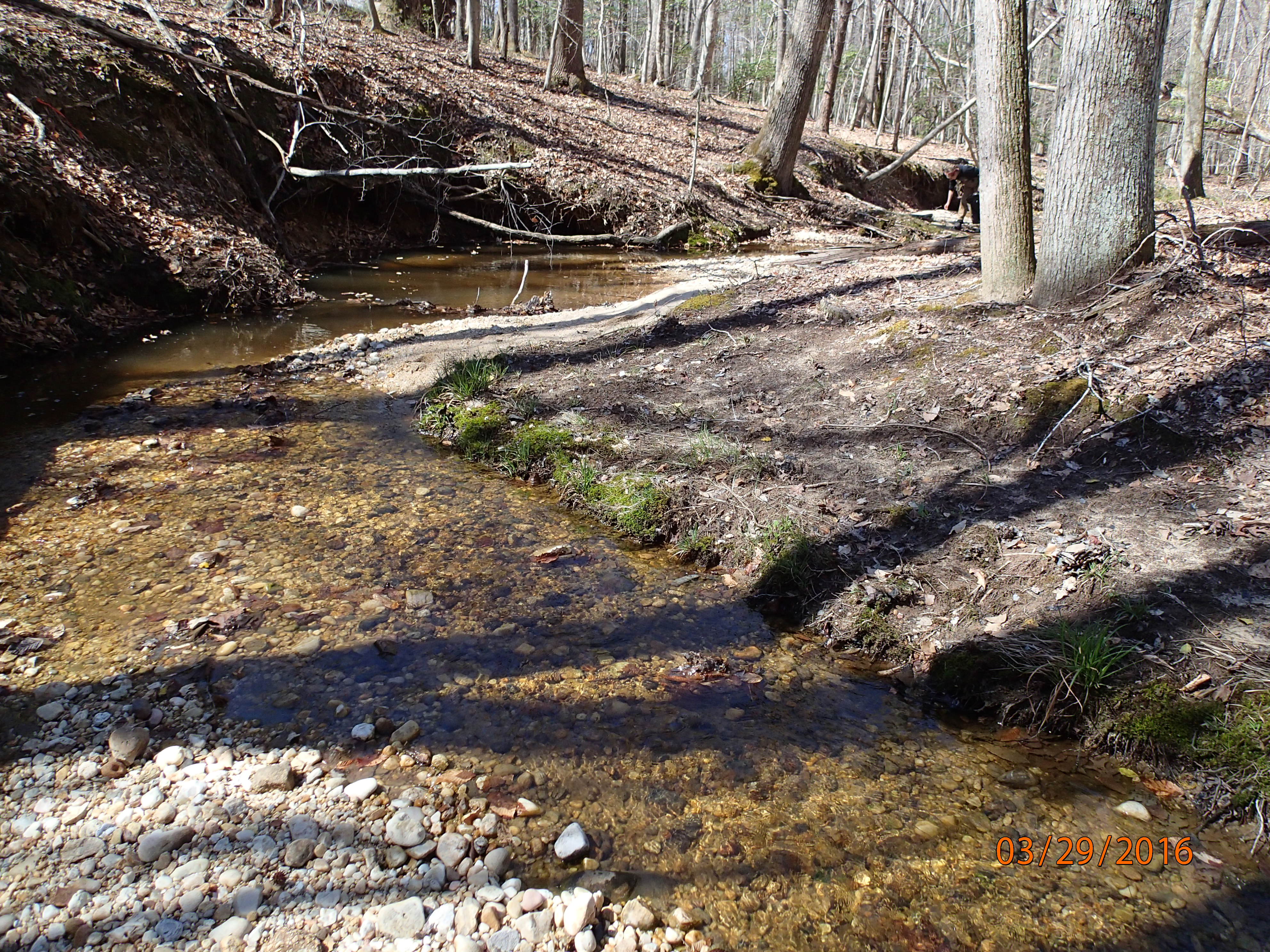 Field photo showing stream conditions at site BRET-101-R-2016-MidpointDownstream