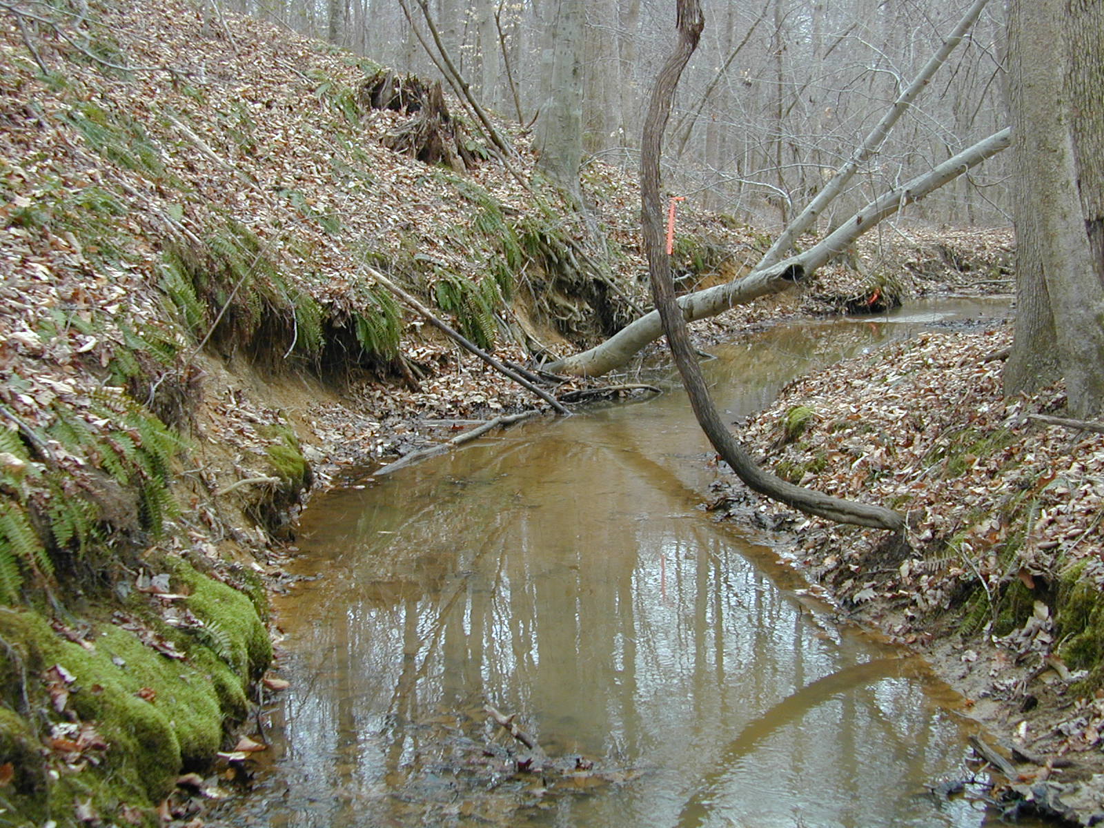 Field photo showing stream conditions at site BRET-103-R-2002-387