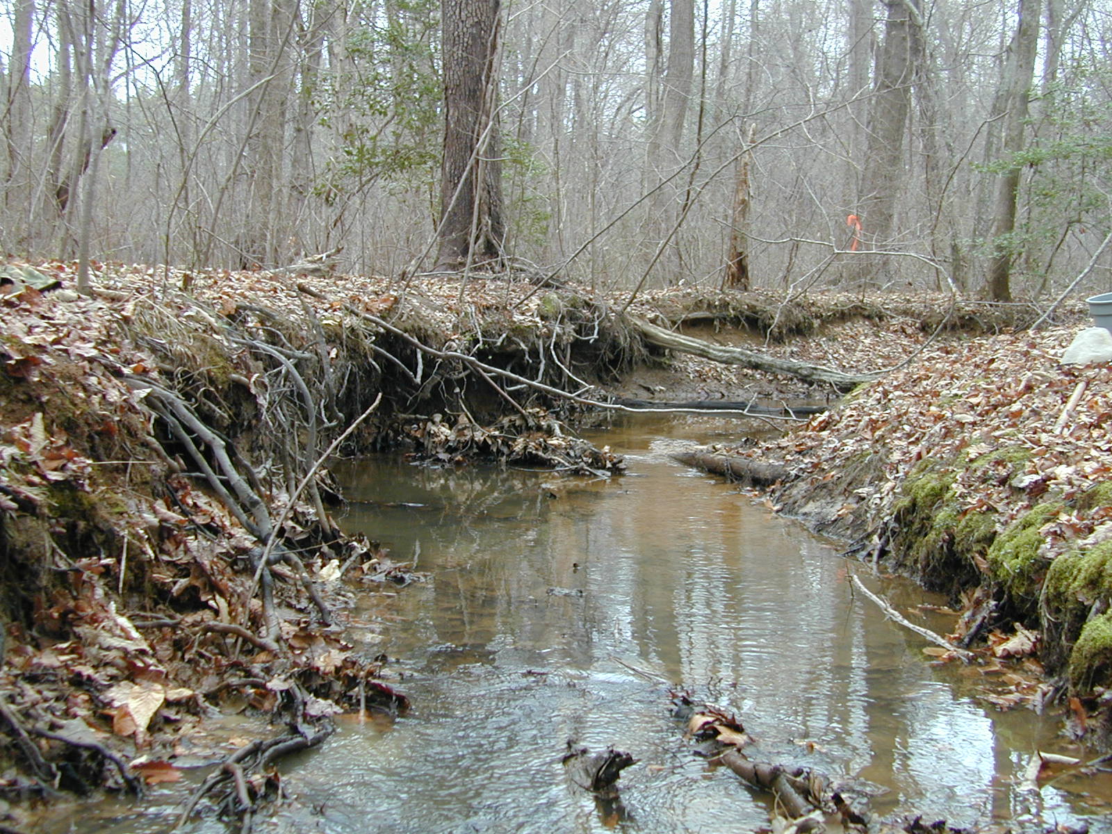 Field photo showing stream conditions at site BRET-103-R-2002-388
