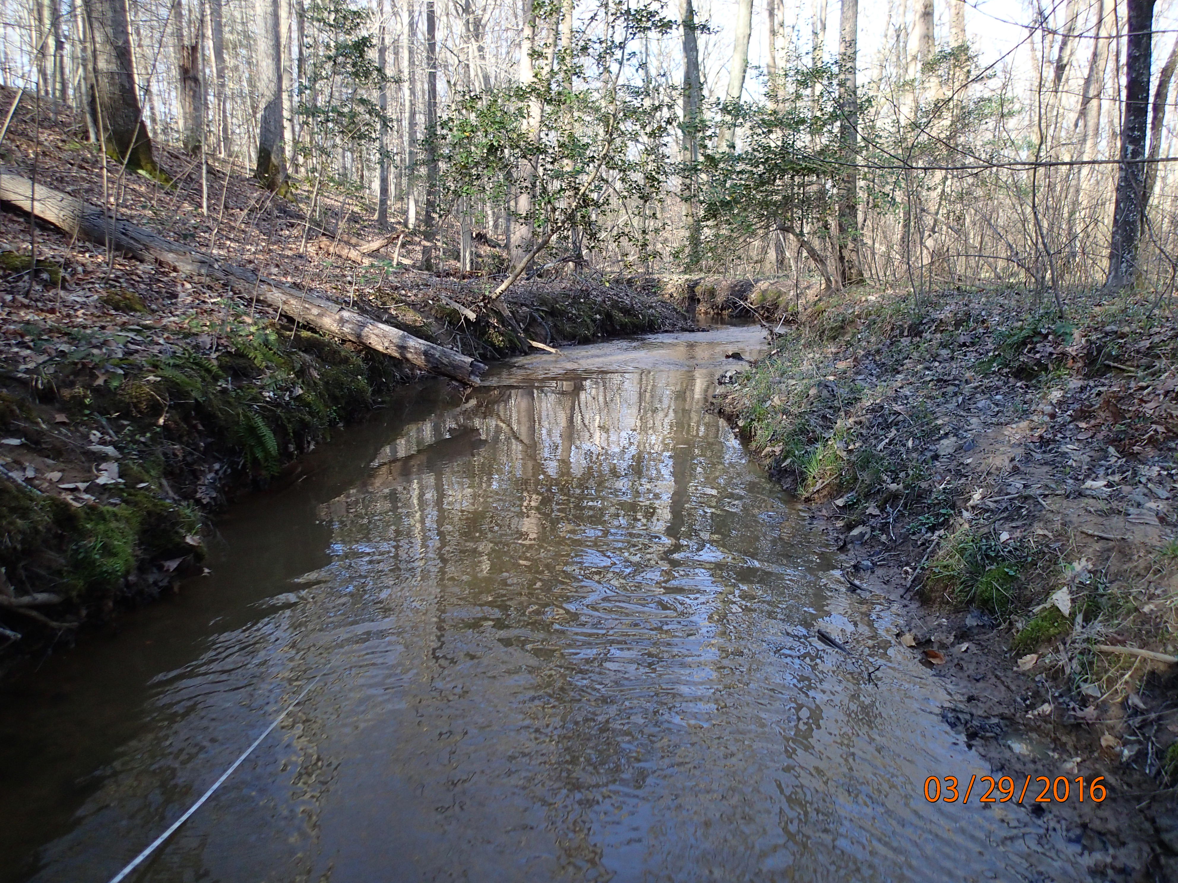 Field photo showing stream conditions at site BRET-103-R-2016-MidpointDownstream